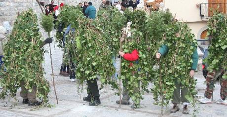 What is the walking forest?