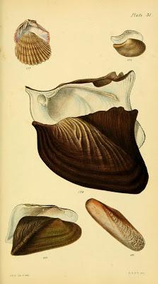 The Lord creates and the Lord uncreates