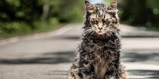 Pet Sematary (2019)