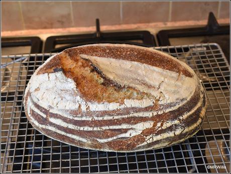 White Sourdough loaf recipe
