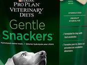 Best Treats Dogs With Pancreatitis