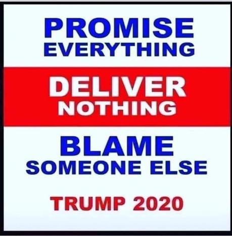 Image may contain: possible text that says 'PROMISE EVERYTHING DELIVER NOTHING BLAME SOMEONE ELSE TRUMP 2020'