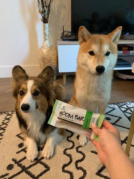 8 Pet-Friendly CBD Treats That Help Treat Joint Pain and Nerves