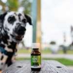 8 Pet-Friendly CBD Treats That Help Treat Joint Pain and Nerves cbd pets