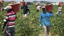 Immigrants are on the frontlines fighting coronavirus