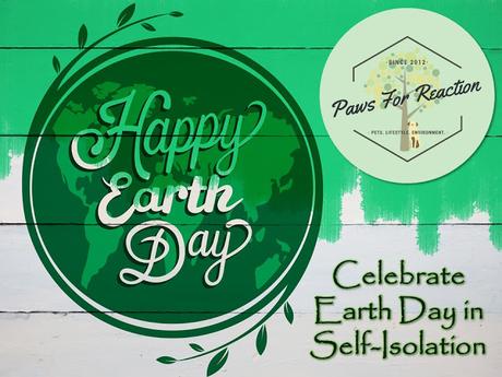 50th Anniversary of Earth Day: How to celebrate Earth Day from home