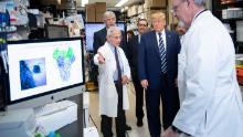 Trump’s coronavirus briefing casting keeps people guessing