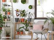 Home Gardening Tips Brightening Your Place with Plants