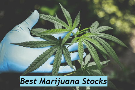 Top Cannabis Stocks – The Best Marijuana Stocks For 2020