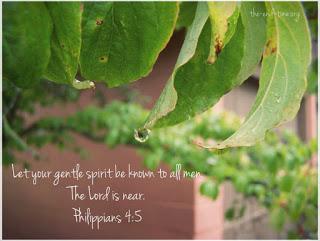 The Power of Positive Communication, plus an extra for free