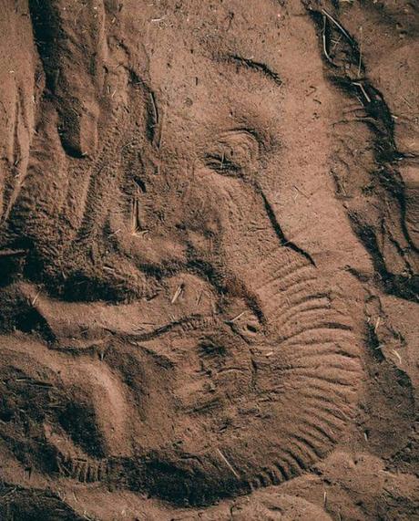 interesting sand imprint