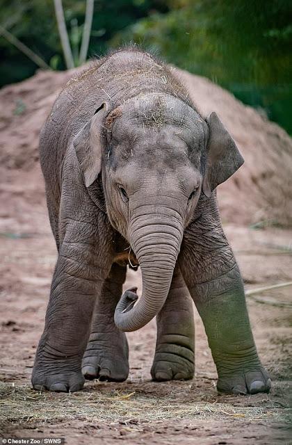 interesting sand imprint