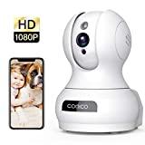 Wireless Camera, 1080P HD WiFi Pet Camera Baby Monitor, Pan/Tilt/Zoom IP Camera for Elder/Nanny Security Cam Night Vision Motion Detection 2-Way Audio Cloud Service Available Webcam White