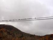 Line Class