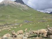 POEM: Cult Leandra [Day NaPoMo: Triolet]