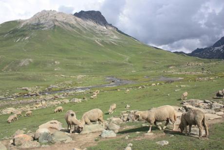 POEM: The Cult of Leandra [Day 25 NaPoMo: Triolet]