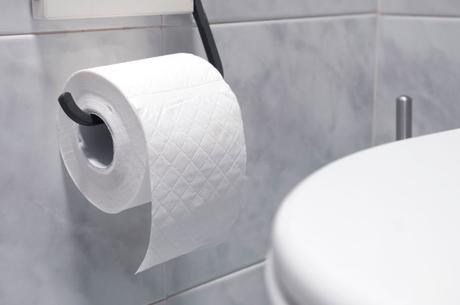 The 7 Best Toilet Paper UK