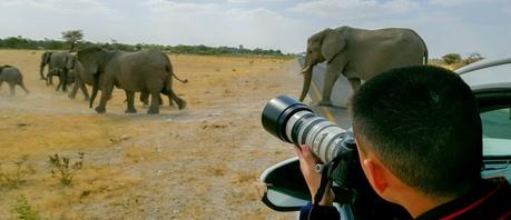 Choosing the Right Camera Lens to Tell a Story Shooting with a Tele-lens