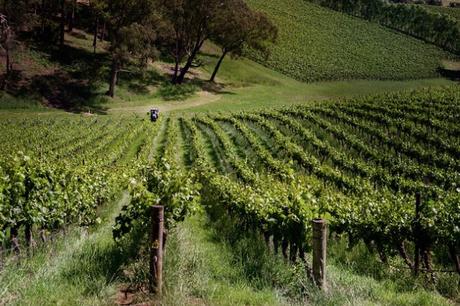 Getting to know the Adelaide Hills