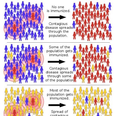 Effect of Herd Immunity on Spread of diseases in a population ...