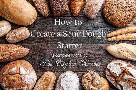 How to Make a Sour Dough Starter (Tutorial)