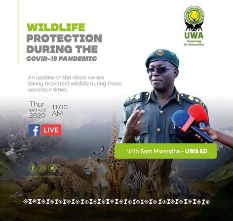 Uganda Wildlife Authority goes live on Facebook to discuss wildlife protection during the pandemic