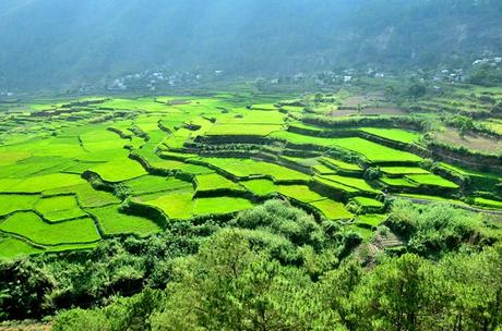 Kapay-aw Rice Terraces