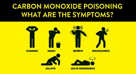 Carbon Monoxide & Our Pets – A BestHeating Guide