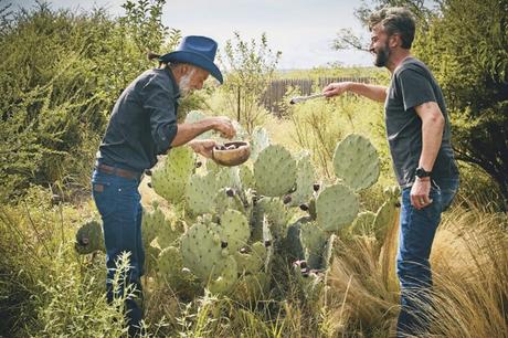Two men looking at cacti in Texas