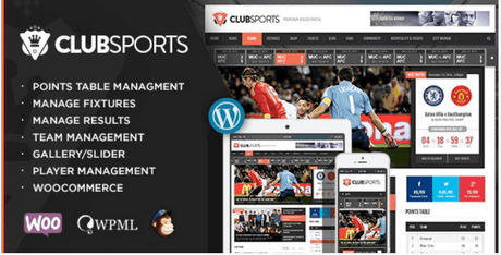 Top 16 WordPress Sports Themes to Create Sports Website