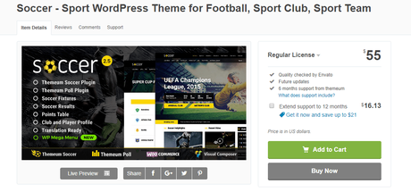 WordPress Sports Theme