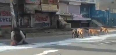 lockdown, image, corona, starvation These 6 + Photos Are Describing The Situation Of Lockdown