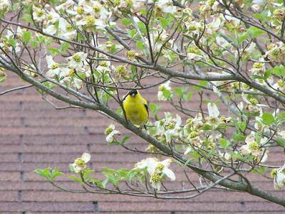 God will take care of us