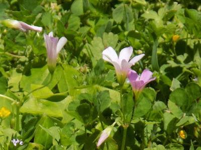 God will take care of us