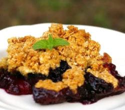 Blueberry Cobbler