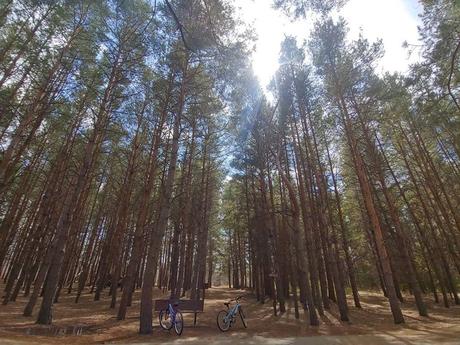 11 Totally Underrated Things to Do in Winnipeg, MB