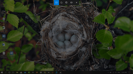 How to Use ‘Search with a screenshot’ feature in Windows 10 Search UI How to Use 'Search with a screenshot' feature in Windows 10 Search UI