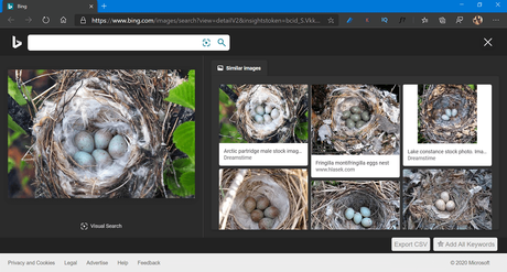 How to Use ‘Search with a screenshot’ feature in Windows 10 Search UI How to Use 'Search with a screenshot' feature in Windows 10 Search UI