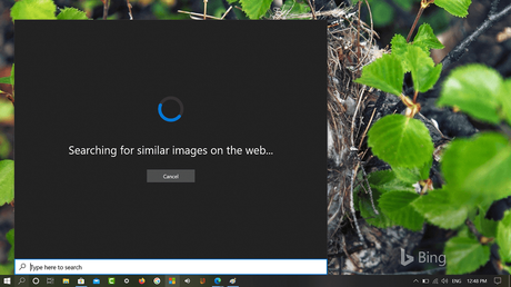 How to Use ‘Search with a screenshot’ feature in Windows 10 Search UI searching for similar images on the web