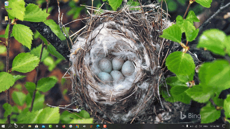 How to Use ‘Search with a screenshot’ feature in Windows 10 Search UI How to Use 'Search with a screenshot' feature in Windows 10 Search UI