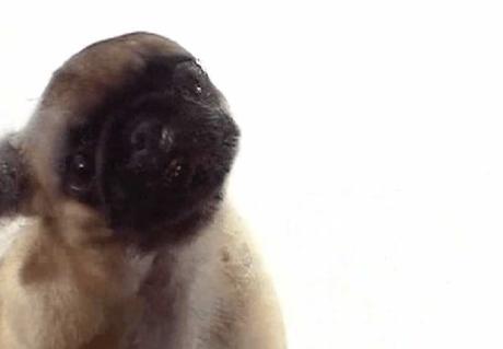 List of Most Useless Websites useless websites