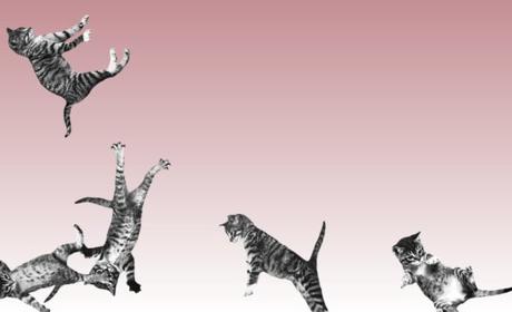 List of Most Useless Websites List of Most Useless Websites