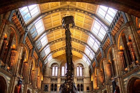 How Many London Museums Can You Visit In One Day?