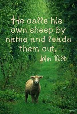 The Lord is MY shepherd John 10:1-10