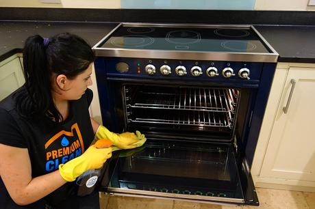 professionla oven cleaning services