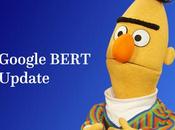 Optimise Google’s BERT Algorithm Update