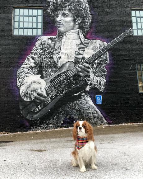 10 Stunning Murals You Can Find Around Minneapolis 10 Stunning Murals You Can Find Around Minneapolis