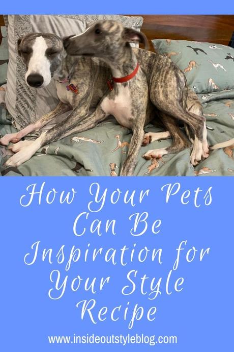 How Your Pets Can Be Inspiration for Your Style Recipe How Your Pets Can Be Inspiration for Your Style Recipe