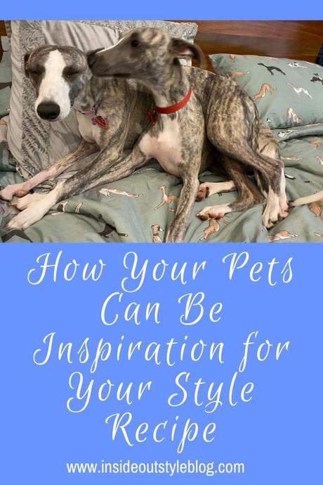 How Your Pets Can Be Inspiration for Your Style Recipe
