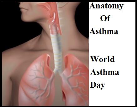 Asthma On The Rise: These 5+ Things Should Not Be Eaten